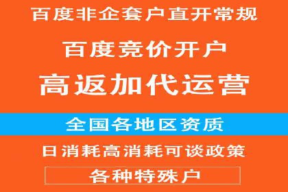 百度竞价包年服务：某行业领导品牌的成功故事